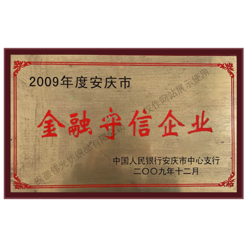 Financial Trustworthy Enterprise in Anqing City in 2009